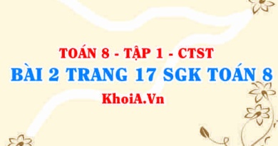 Bài 2 trang 17 SGK Toán 8 Tập 1 Chân trời sáng tạo